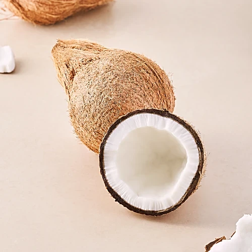 COCONUT 1UNIT