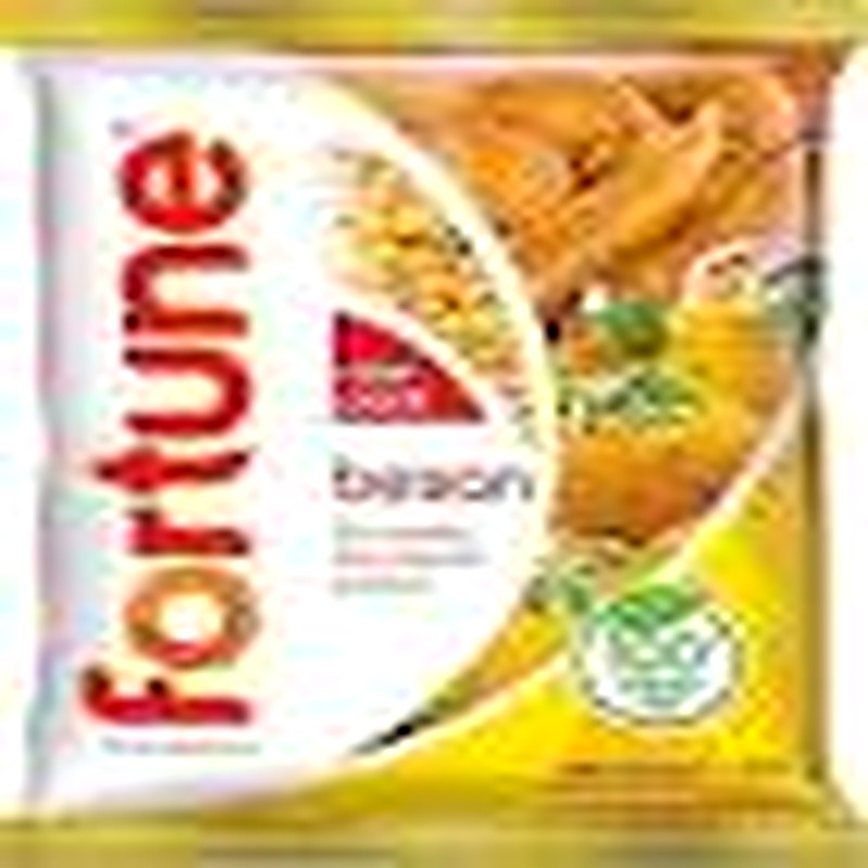Fortune Besan Flour 500gm